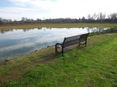 Bench with back at Pintail Pond – natural surface loop trail around pond with a mix of grass